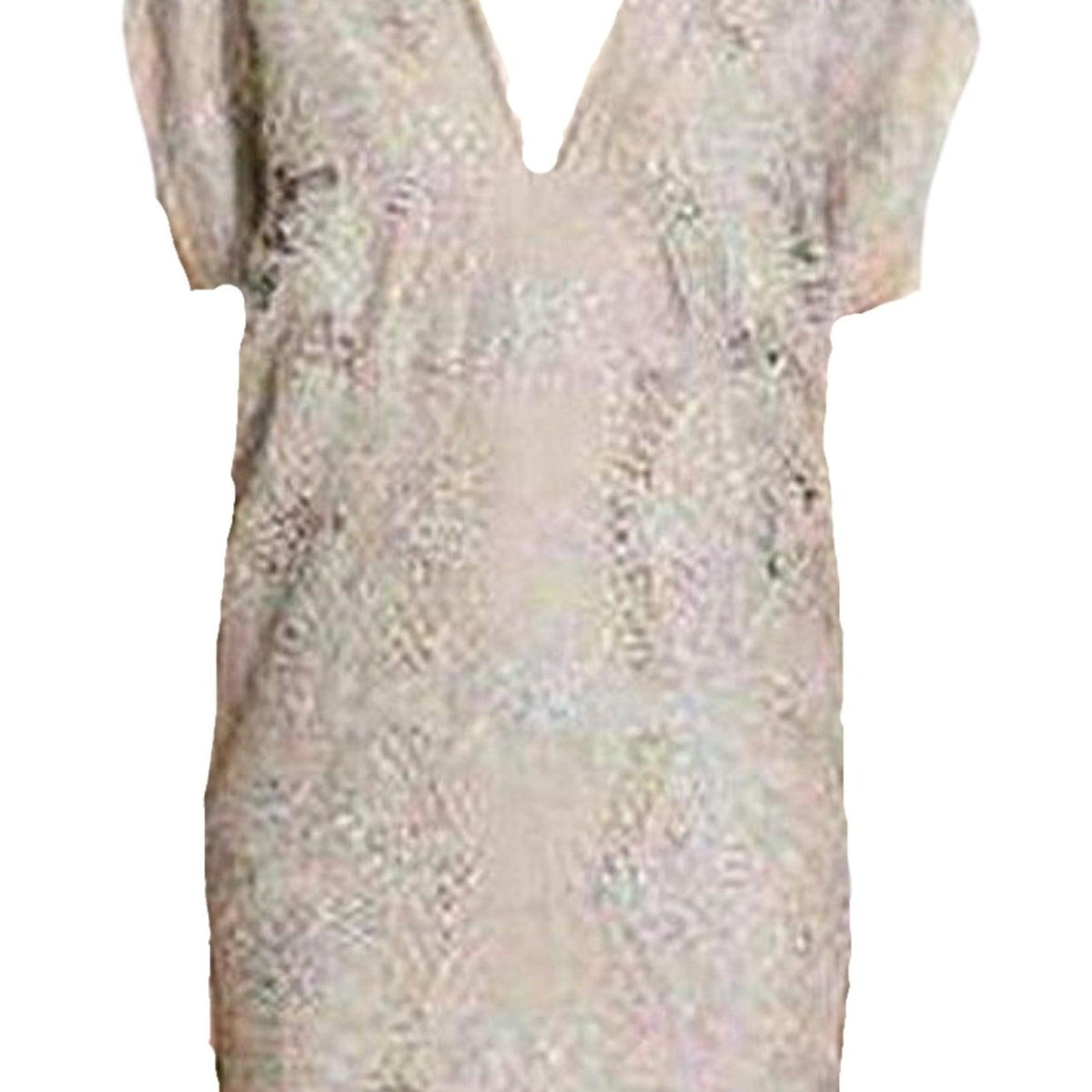 BCBGMAXAZRIA Freja Runway Organza Lace Beige Dress – Runway Catalog