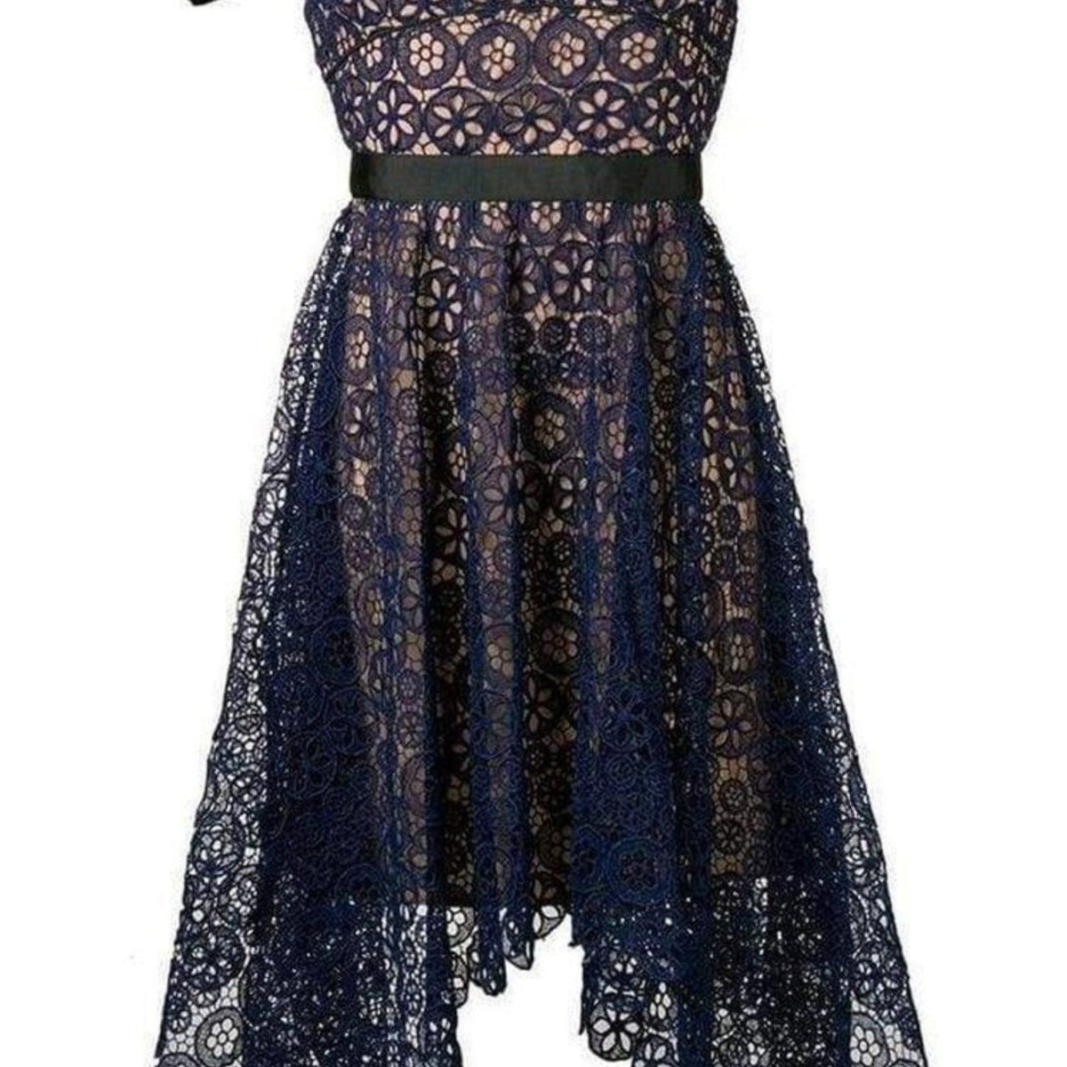 runway self portrait lace dress Self-Portrait Ivy Coton Blend Lace Dress