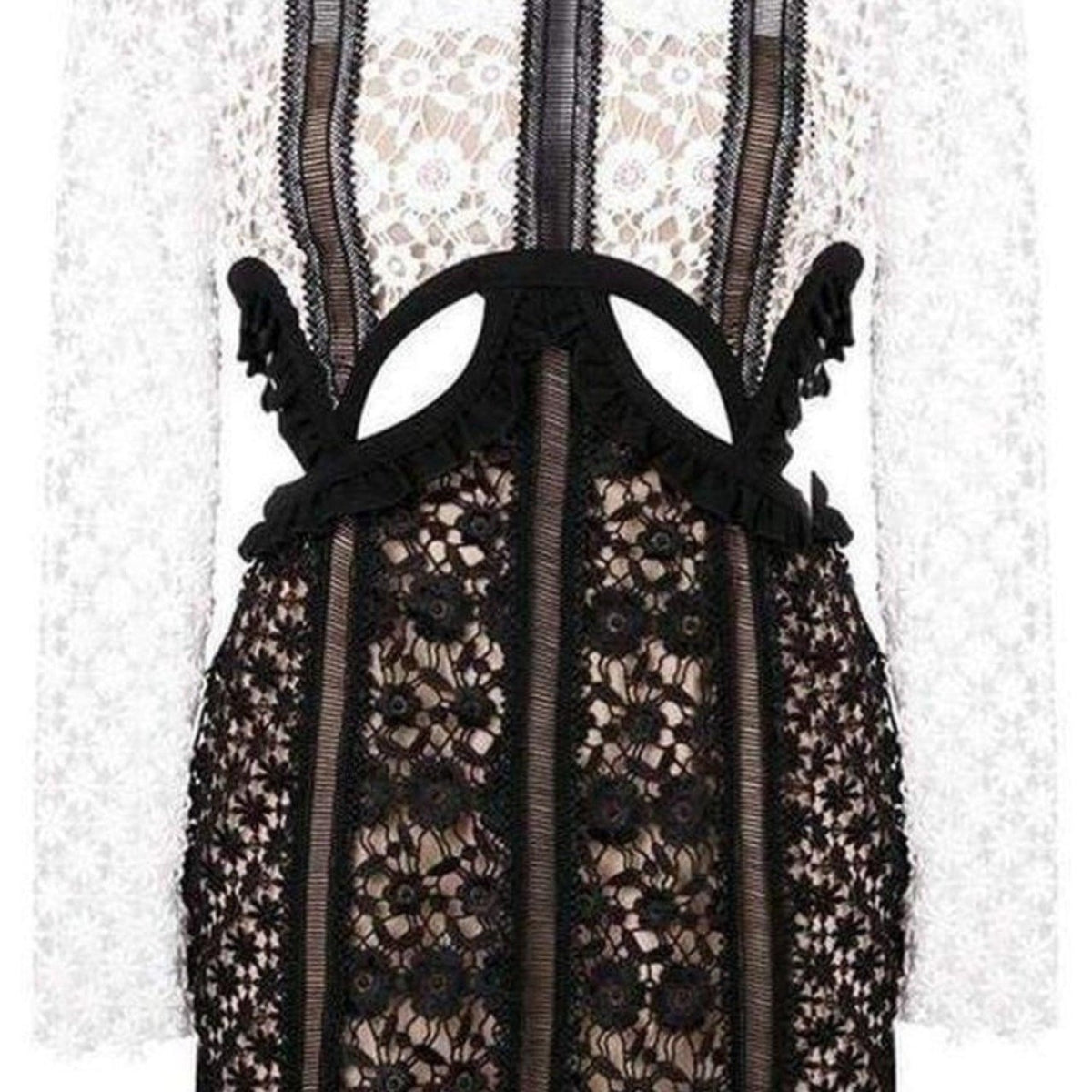 Self-Portrait Payne Lace Cut-out Mini Dress – Runway Catalog