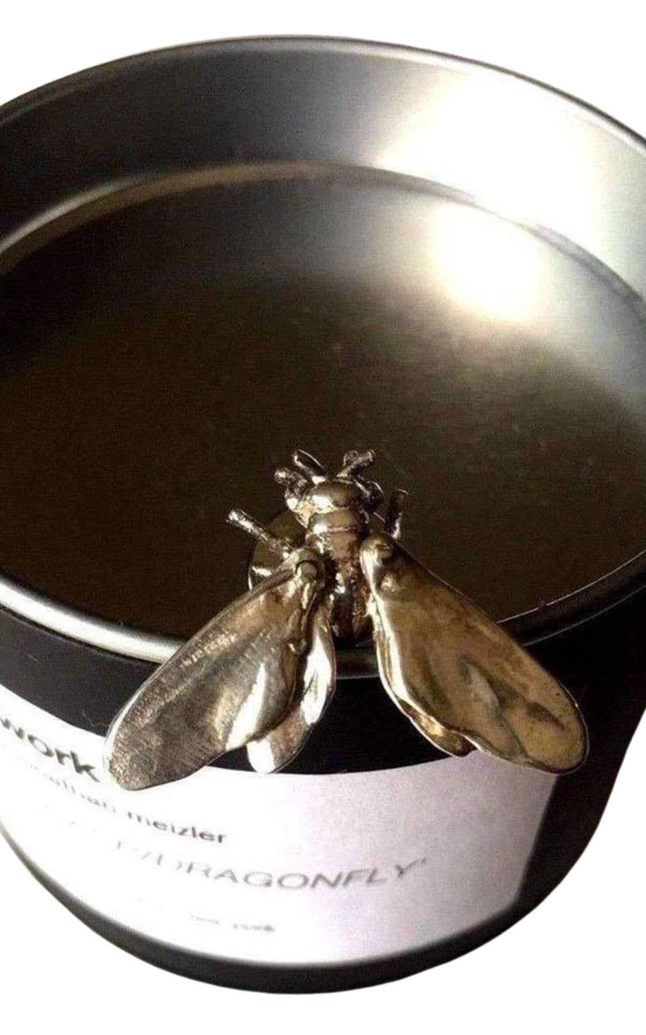 Title of Work by Jonathan Meizler Sterling Silver Fly Pin - Runway Catalog