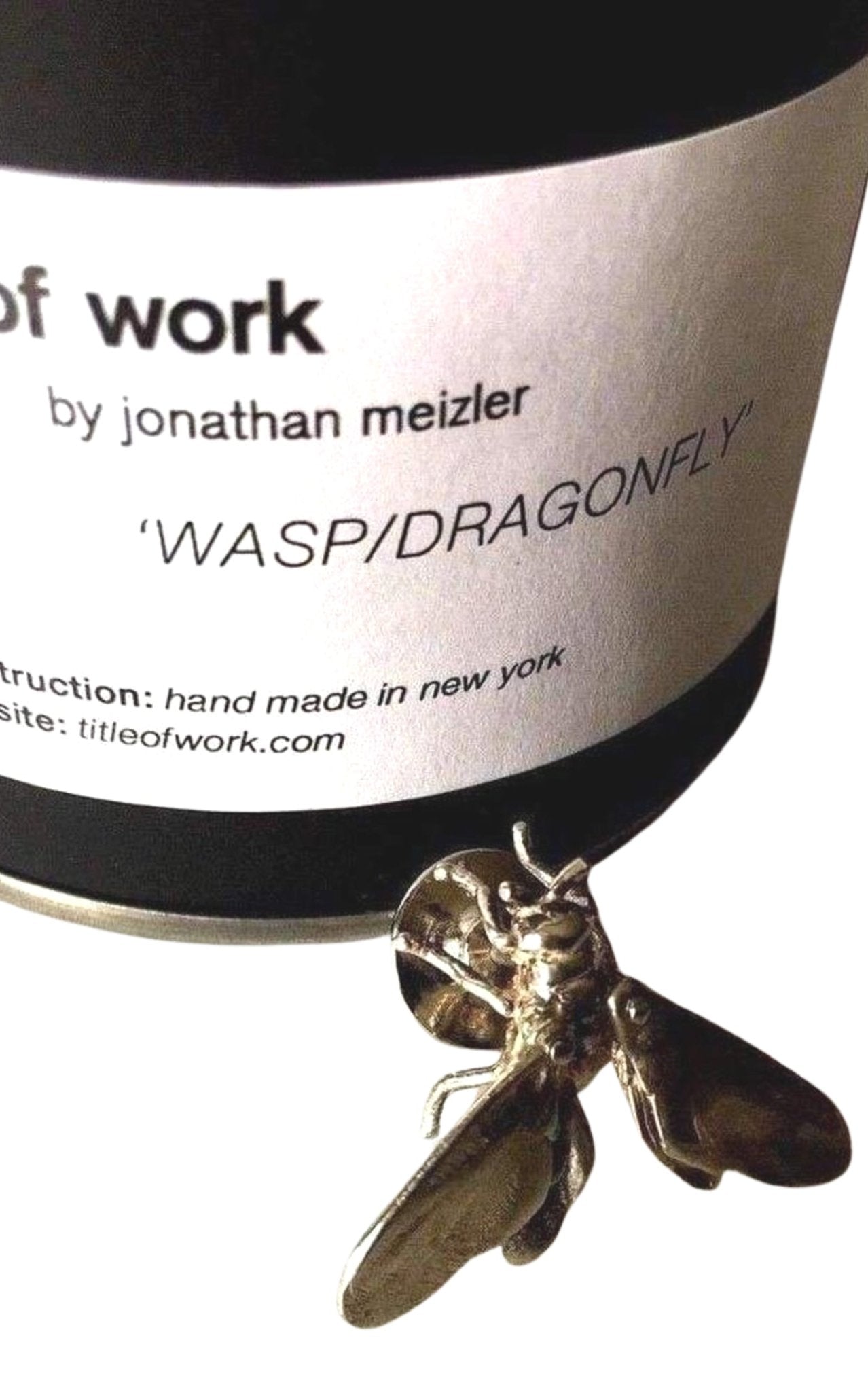 Title of Work by Jonathan Meizler Sterling Silver Fly Pin - Runway Catalog