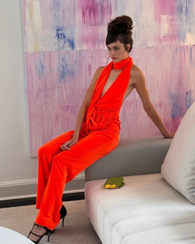 Red Valentino Embroidered Tulle Maxi Dress - Runway Catalog