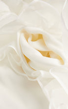 Alessandra Rich Organza – Maxikleid mit Besatz – Laufsteg-Katalog