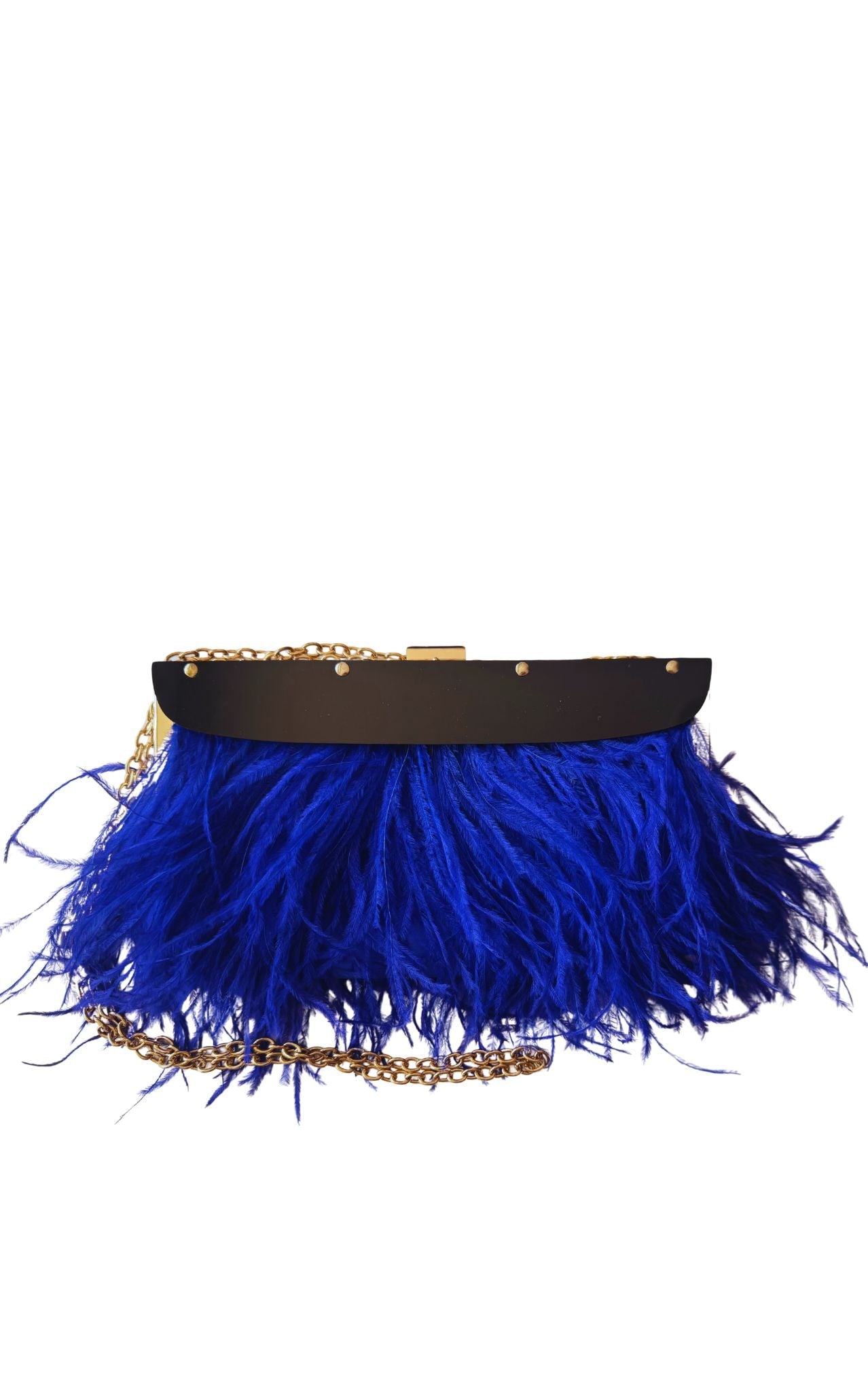 BCBGMAXAZRIA Portia Blue Feather - Trim Lucite Clutch - Runway Catalog