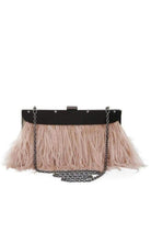 BCBGMAXAZRIA Portia Feather - Trim Lucite Clutch - Runway Catalog