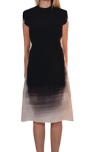 Gabriele Colangelo Ombre Shift Silk Blend Dress - Runway Catalog