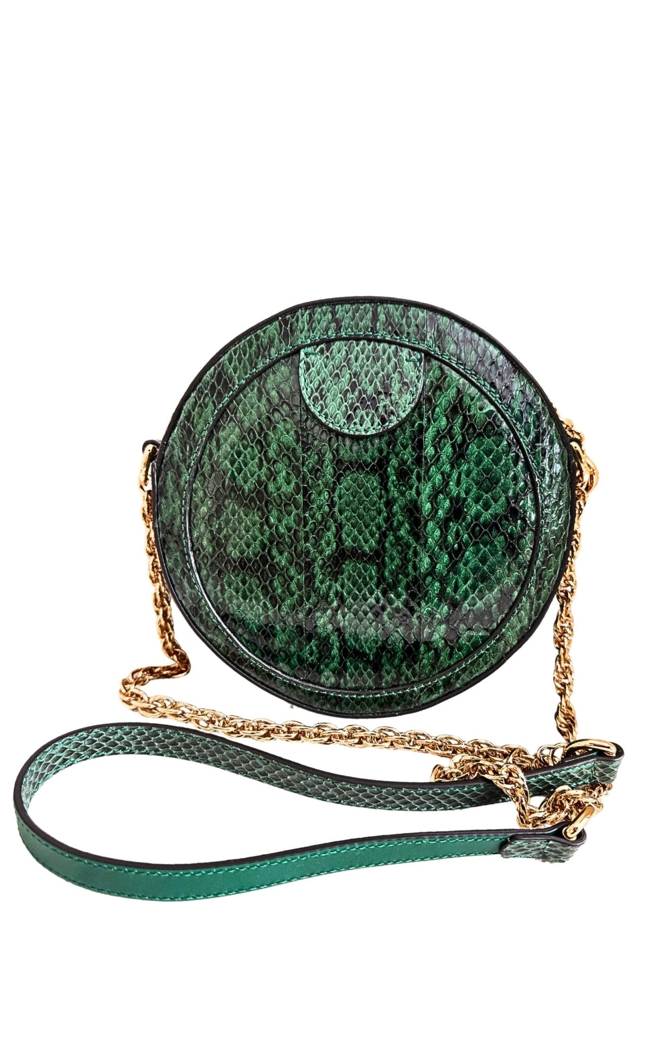 Gucci Marmont Green Exotic Leather Bag – Runway Catalog
