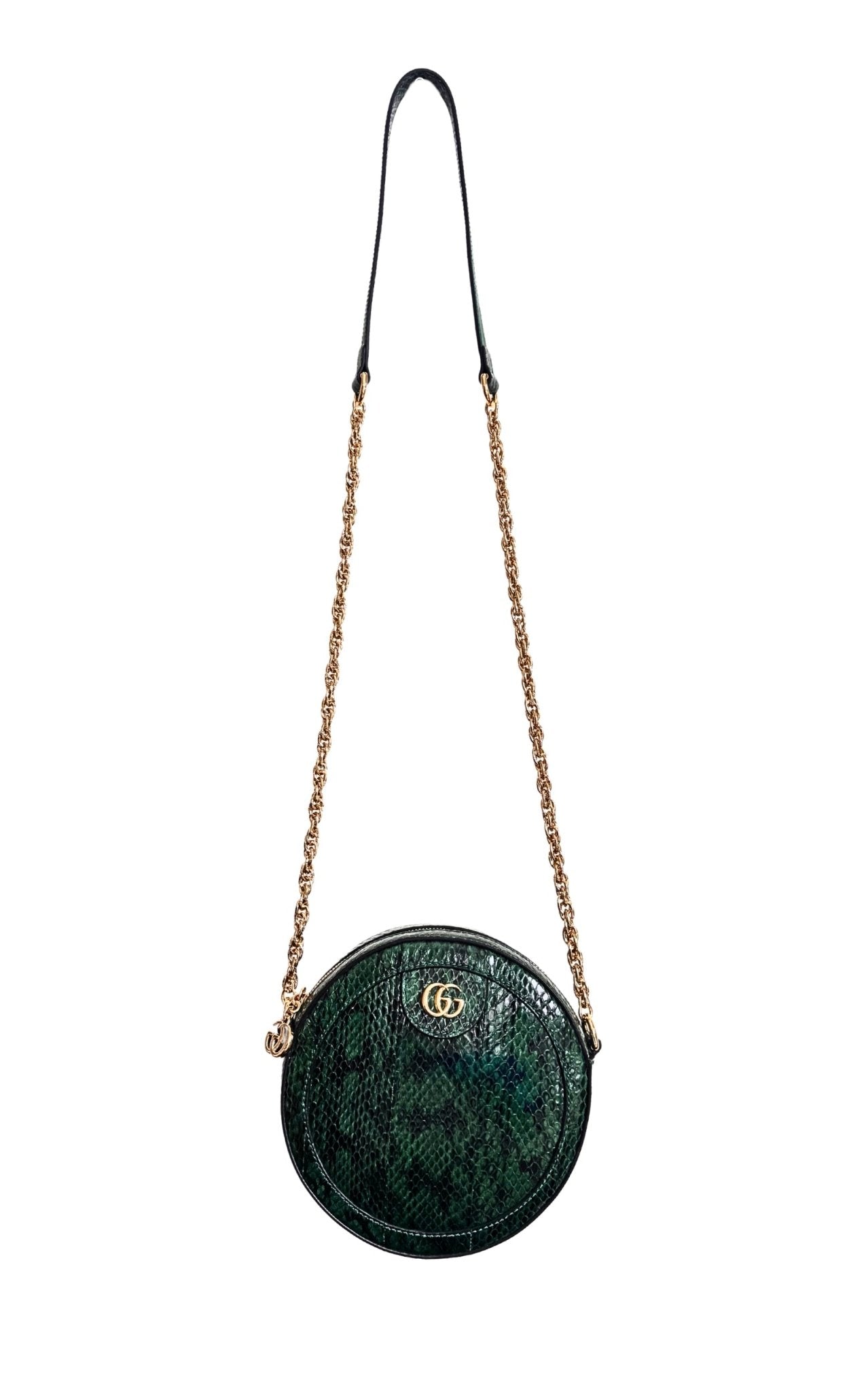 Gucci Marmont Green Exotic Leather Bag – Runway Catalog