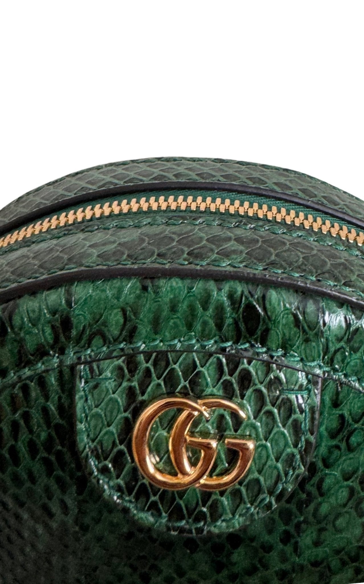 Gucci Marmont Green Exotic Leather Bag