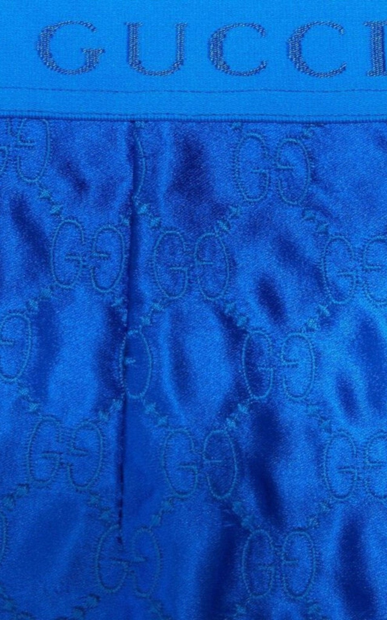 Gucci Gg Supreme Blue Silk Skirt - Runway Catalog