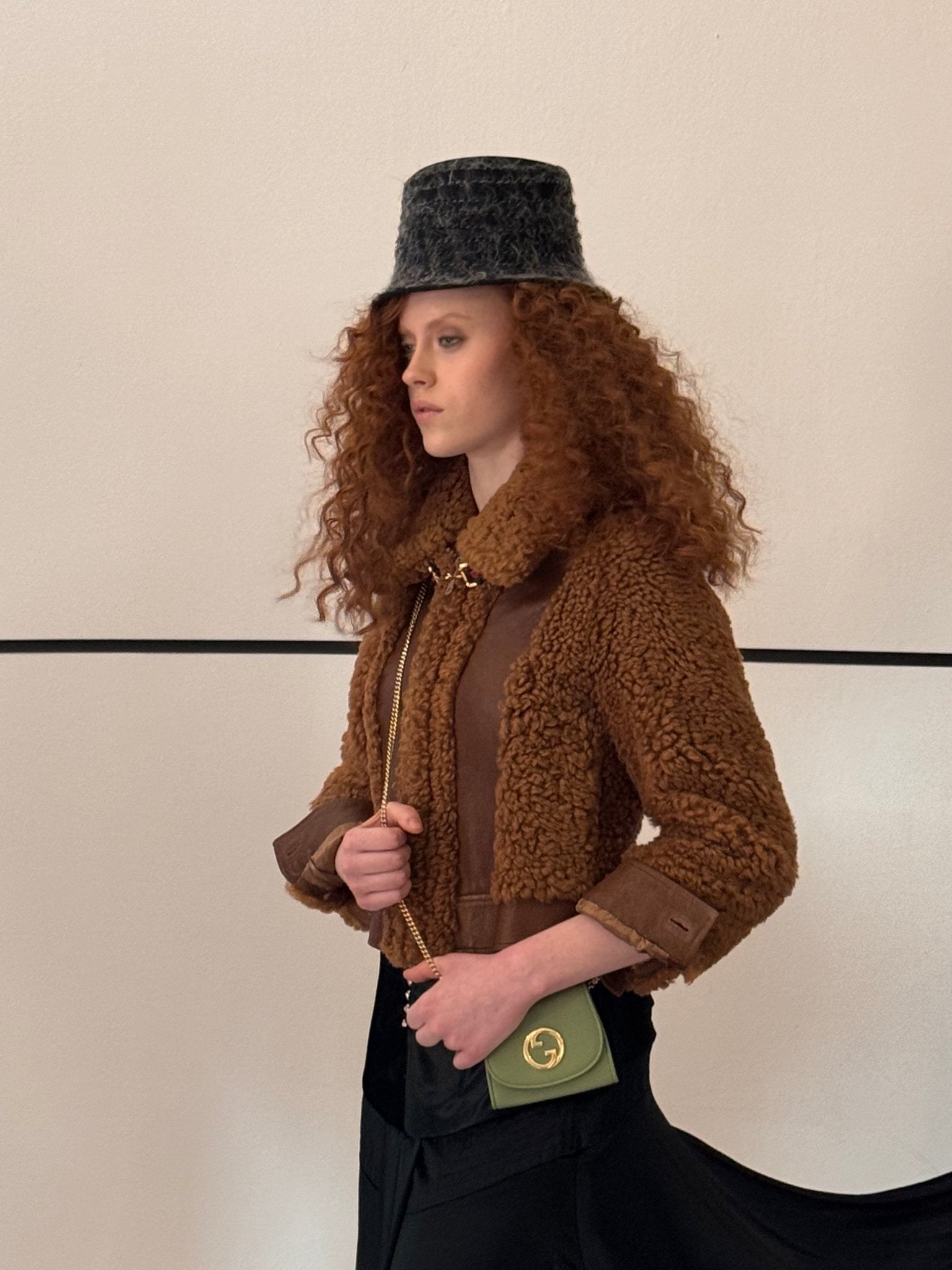 Gucci Gucci Curly Shearling & Lambskin Jacket in Chestnut - Runway