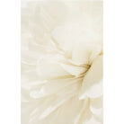 Gucci White Silk Flower Brooch - Runway Catalog