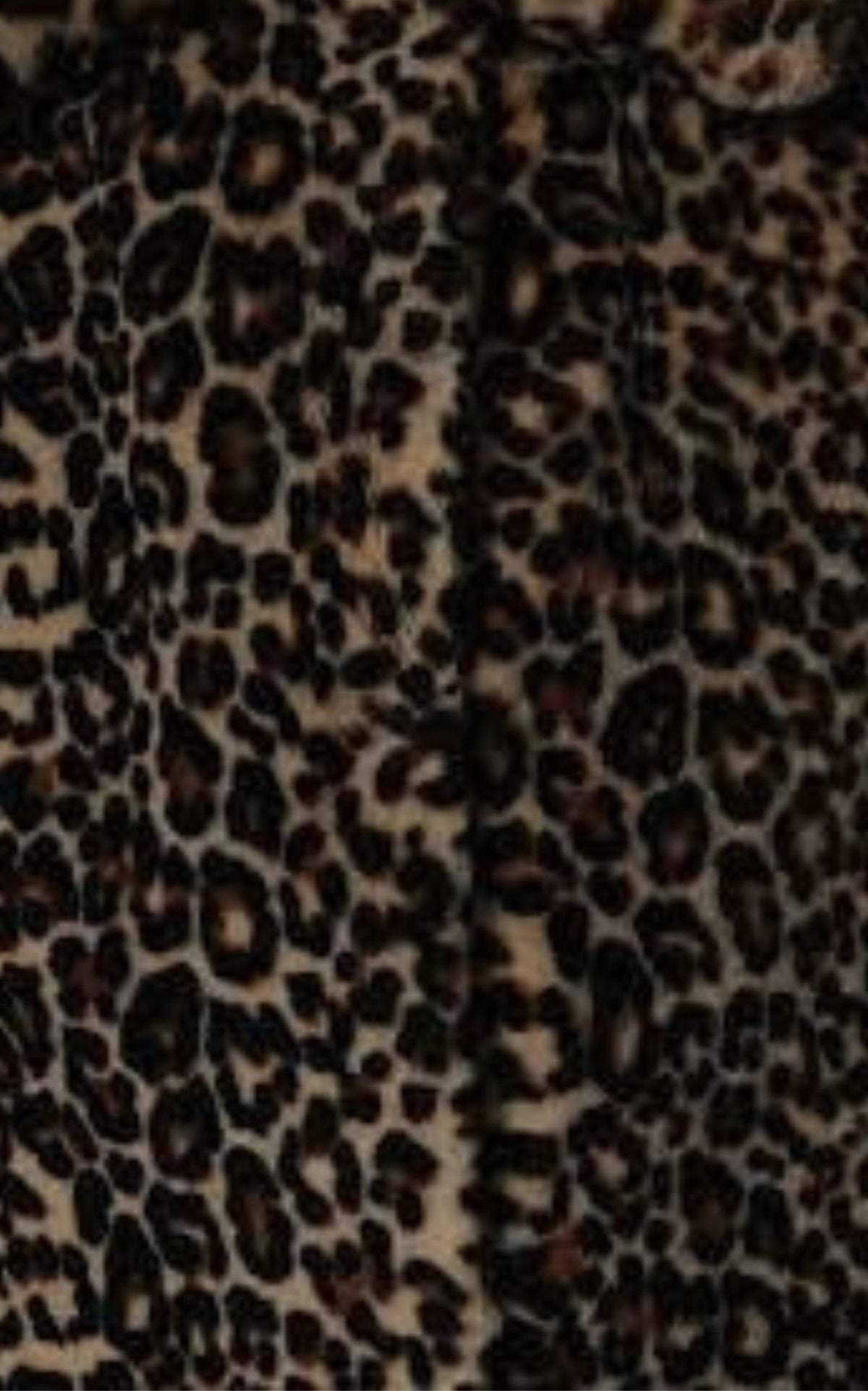 Prada Leopard-Print Shearling Hooded Coat - Runway Catalog