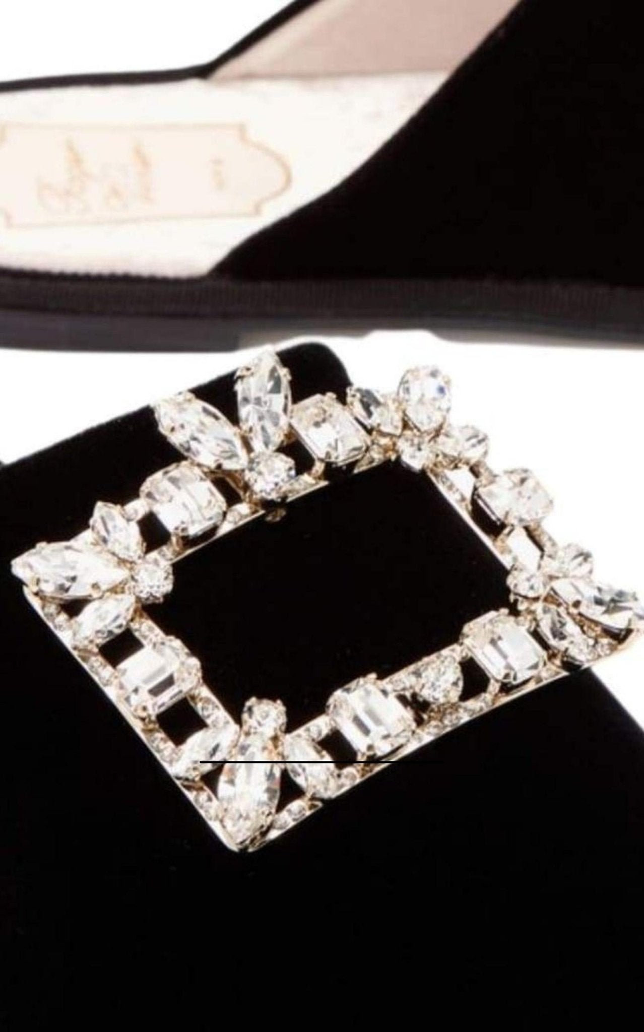 Roger Vivier Hotel Vivier Crystal - buckle Velvet Slippers - Runway Catalog